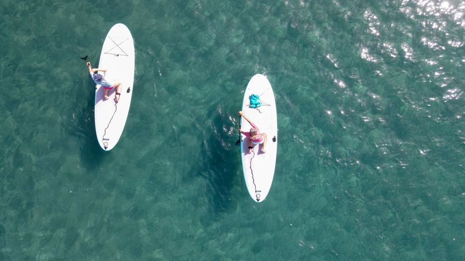 Gran Canaria : 2h Stand Up Paddle board lessons - What you learn: stance, paddle technique, and control