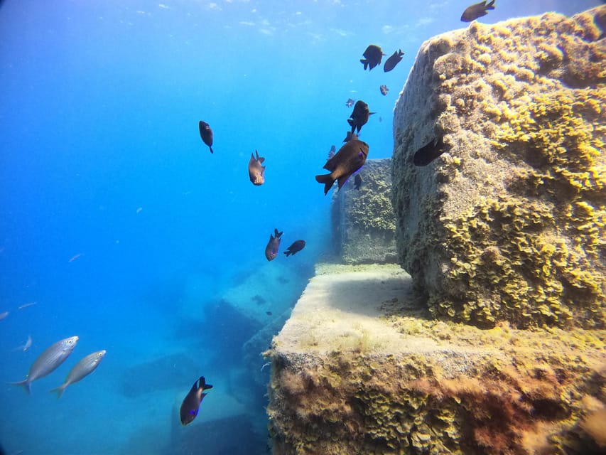Gran Canaria: 3-Day Open Water Diver Course - Key highlights worth planning around