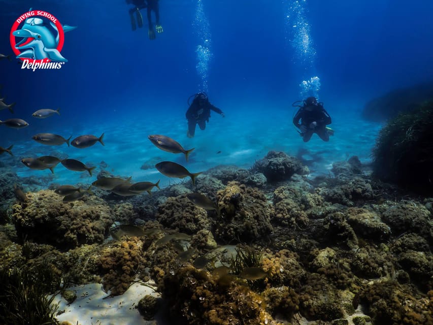 Gran Canaria: 3-Day Open Water Diver Course - Day 3: two open-water training sessions up to 18 meters