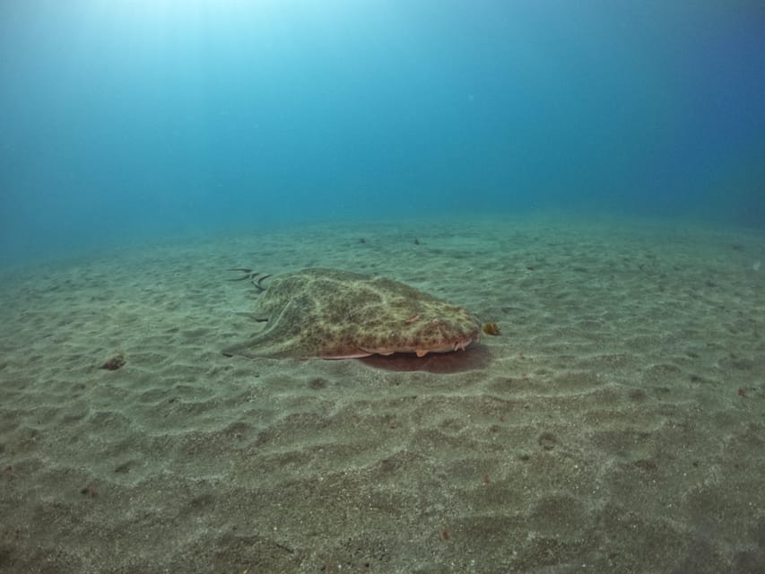 Gran Canaria: 3-Day Open Water Diver Course - Equipment, insurance, and your packing list