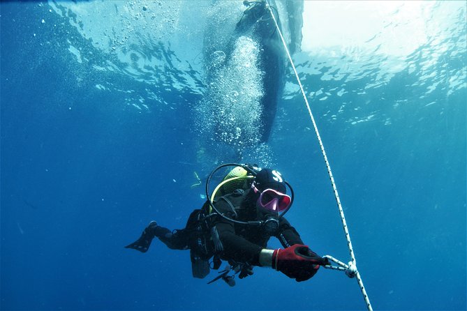 Gran Canaria 3 days / 6 dives in Various Locations - Starting at 8:30am: what your morning setup actually looks like