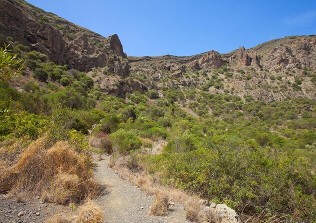 Gran Canaria 7 Highlights Small Group Tour with Tapas Picnic - Key highlights worth centering in your plans