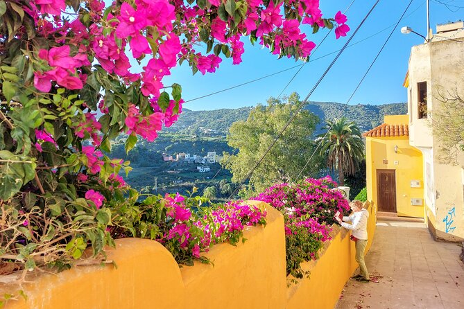 Gran Canaria 7 Highlights Small Group Tour with Tapas Picnic - What this tour is really like (not just what it visits)