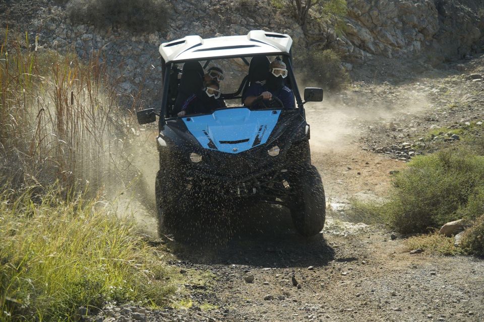 Gran Canaria Buggy tour - Views, Cliffs, and Local Fauna on the Dirt Trails