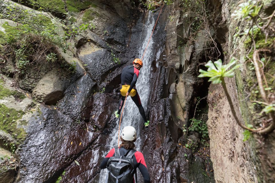 Gran Canaria: Canyoning in the Rainforest - Price and Value: Is $99 Worth It in Gran Canaria?