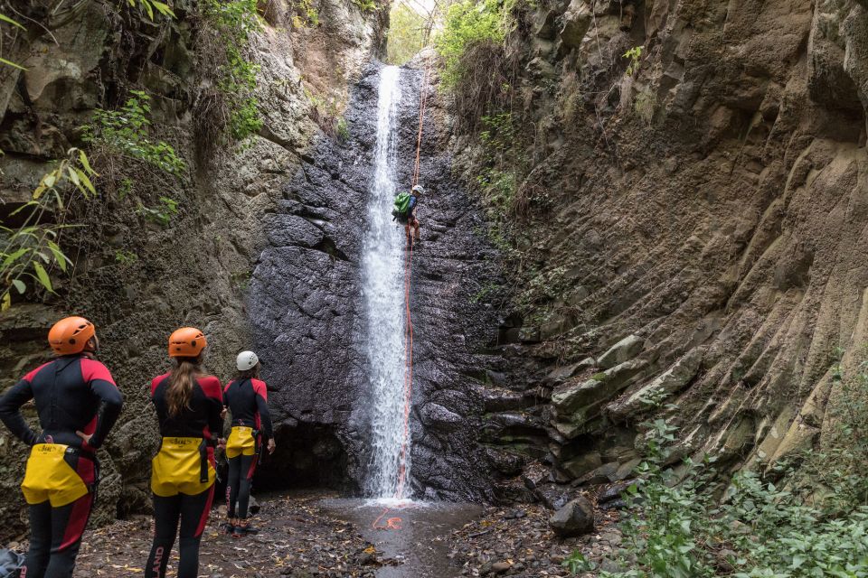 Gran Canaria: Canyoning in the Rainforest - Weather, Roads, and Timing: How to Avoid a Bad Day