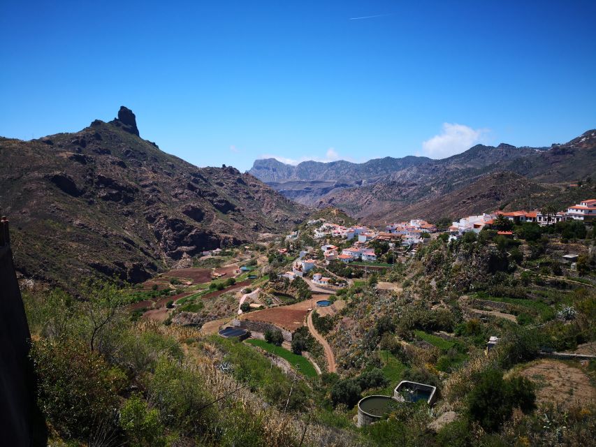 Gran Canaria: Customizable Private Tour - Wine tasting and local cheese: where it fits best