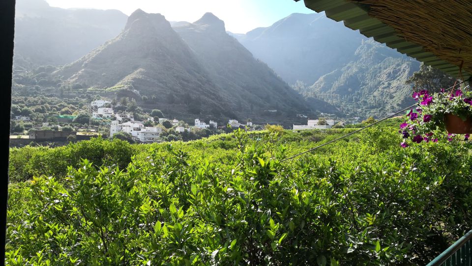 Gran Canaria: Customizable Private Tour - Price and value: what $424 per group really buys