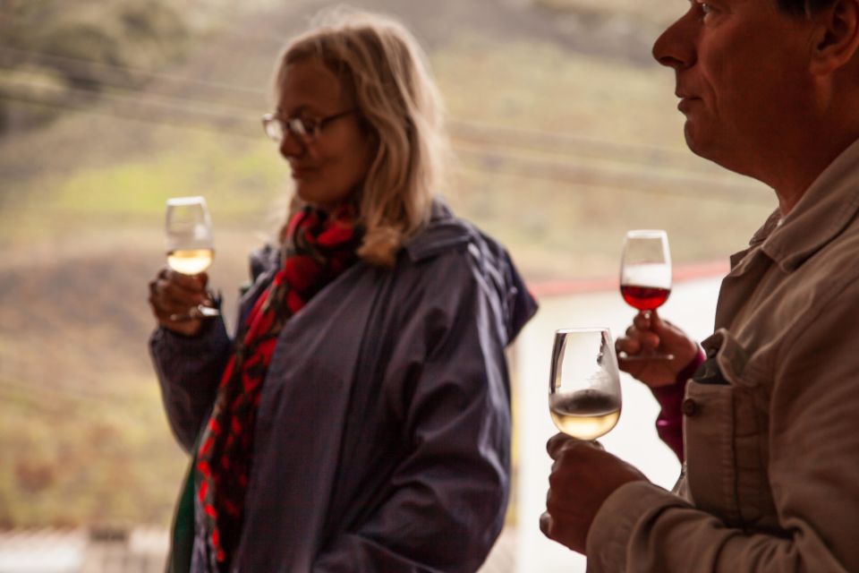 Gran Canaria: Customizable Private Tour - How the tour stays flexible: two itinerary styles, one local guide