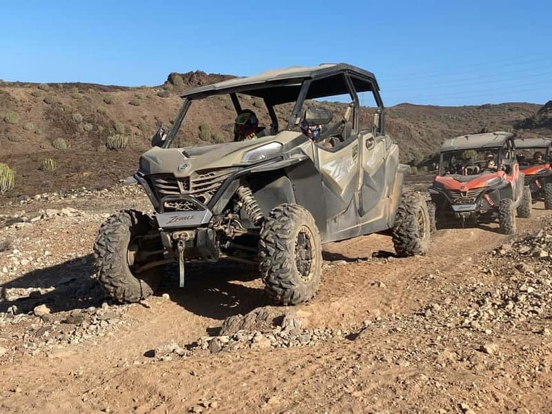 GRAN CANARIA: FAMILY MONSTER BUGGY </em>4 SEATS -LONG TOUR 2.5HR – Should You Book the Family Monster Buggy Tour?’ /><br />
Book it if your family will enjoy <em>driving</em> more than <em>sitting still</em>. With <strong>hotel pickup</strong>, <strong>4-seat family buggies</strong>, <strong>goggles included</strong>, and the ability to <strong>switch drivers for free</strong>, it’s built to make sure more than one person gets the wheel time.</p>
<p><p>Skip or rethink it if you’re expecting a relaxed, fully narrated experience and you’re not a fan of dust. Bring a dust mask if you’re worried, read your pickup email carefully, and arrive ready to listen fast and drive confidently.</p>
</p>
<p><p>If you line up the basics (age/height rules, driver license, and comfort with off-road bumps), this is one of those Gran Canaria activities that can turn into a standout day for the kids and the adults who don’t mind the dirt.</p>
</p>
<h2 id="faq">FAQ</h2>
<h3 id="how-long-is-the-gran-canaria-family-monster-buggy-tour">How long is the Gran Canaria family monster buggy tour?</h3>
<p>The activity is listed as <strong>2.5 hours of buggy time</strong>, and the total duration is <strong>about 3 hours</strong> with pickup included. Check available starting times for the exact schedule.</p>
<h3 id="do-i-need-a-drivers-license-to-ride-the-buggy">Do I need a driver’s license to ride the buggy?</h3>
<p>Yes. Drivers must bring a <strong>valid driver’s license</strong>, and drivers must have <strong>at least 1 year of driving experience</strong>. The tour also states that drivers must be <strong>21 years or older</strong>.</p>
<h3 id="what-are-the-height-and-age-rules-for-kids">What are the height and age rules for kids?</h3>
<p>Kids are welcome from about <strong>1 meter tall</strong>, roughly <strong>4–5 years old</strong>. The tour is <strong>not suitable for children under 4 years</strong>.</p>
<h3 id="is-pickup-from-my-hotel-included">Is pickup from my hotel included?</h3>
<p>Pickup is included, with service listed for areas like <strong>Bahía Feliz, San Agustín, Playa del Inglés, Maspalomas, Meloneras, Arguineguín, Puerto Rico, Taurito, and Puerto de Mogán</strong>. Pickup happens outside your hotel, and you’ll receive an email with the exact pickup place and time.</p>
<h3 id="whats-the-difference-between-standard-and-premium-drop-off">What’s the difference between standard and premium drop-off?</h3>
<p>Standard drop-off is free for <strong>Bahía Feliz, San Agustín, Playa del Inglés, Maspalomas, Sonnenland, and Meloneras</strong>. For other areas, you may be dropped at a nearby taxi stop or public transport point. Premium drop-off is direct to your accommodation, if available, and can require a request after booking.</p>
<h3 id="are-dust-masks-included">Are dust masks included?</h3>
<p>No. <strong>Dust masks are not included</strong>, though <strong>off-road goggles are provided</strong>.</p>
<h3 id="can-i-switch-drivers-during-the-tour">Can I switch drivers during the tour?</h3>
<p>Yes. The tour states that it’s possible to switch drivers <strong>at no extra cost</strong>.</p>
</div><aside class="gc-post-sidebar">    <div class="gc-booking">
                    <a class="gc-booking-image" href="https://www.getyourguide.com/gran-canaria-l418/gran-canaria-family-monster-buggy-4-seats-long-tour-25hr-t801192/" target="_blank" rel="nofollow noopener sponsored" aria-label="GRAN CANARIA: FAMILY MONSTER BUGGY *4 SEATS -LONG TOUR 2.5HR">
                <img decoding="async" src="https://s3.gran-canaria-tourism.com/wp-content/uploads/gran-canaria-family-monster-buggy-4-seats-long-tour-2-5hr.jpg" alt="" loading="lazy" />
            </a>
                <div class="gc-booking-body">
                    <p class="gc-booking-platform">Official tickets via <strong>GetYourGuide</strong></p>
                            <p class="gc-booking-price">From <strong>$117</strong> <span>per person</span></p>
        
        <p class="gc-booking-section-label">Check Availability</p>
        <div class="gc-booking-dates">
                            <a class="gc-booking-date gc-booking-date--today" href="https://www.getyourguide.com/gran-canaria-l418/gran-canaria-family-monster-buggy-4-seats-long-tour-25hr-t801192/" target="_blank" rel="nofollow noopener sponsored">
                    <span class="day">Wed</span>
                    <span class="date">22 Jul</span>
                </a>
                            <a class="gc-booking-date" href="https://www.getyourguide.com/gran-canaria-l418/gran-canaria-family-monster-buggy-4-seats-long-tour-25hr-t801192/" target="_blank" rel="nofollow noopener sponsored">
                    <span class="day">Thu</span>
                    <span class="date">23 Jul</span>
                </a>
                            <a class="gc-booking-date" href="https://www.getyourguide.com/gran-canaria-l418/gran-canaria-family-monster-buggy-4-seats-long-tour-25hr-t801192/" target="_blank" rel="nofollow noopener sponsored">
                    <span class="day">Fri</span>
                    <span class="date">24 Jul</span>
                </a>
                            <a class="gc-booking-date" href="https://www.getyourguide.com/gran-canaria-l418/gran-canaria-family-monster-buggy-4-seats-long-tour-25hr-t801192/" target="_blank" rel="nofollow noopener sponsored">
                    <span class="day">Sat</span>
                    <span class="date">25 Jul</span>
                </a>
                        <a class="gc-booking-date gc-booking-date--more" href="https://www.getyourguide.com/gran-canaria-l418/gran-canaria-family-monster-buggy-4-seats-long-tour-25hr-t801192/" target="_blank" rel="nofollow noopener sponsored" aria-label="See all dates">
                <svg width="18" height="18" viewBox="0 0 24 24" fill="none" stroke="currentColor" stroke-width="2" stroke-linecap="round" stroke-linejoin="round" aria-hidden="true">
                    <rect x="3" y="4" width="18" height="18" rx="2" ry="2"></rect>
                    <line x1="16" y1="2" x2="16" y2="6"></line>
                    <line x1="8"  y1="2" x2="8"  y2="6"></line>
                    <line x1="3"  y1="10" x2="21" y2="10"></line>
                </svg>
            </a>
        </div>

        <a class="gc-booking-cta" href="https://www.getyourguide.com/gran-canaria-l418/gran-canaria-family-monster-buggy-4-seats-long-tour-25hr-t801192/" target="_blank" rel="nofollow noopener sponsored">Book on GetYourGuide &rarr;</a>

                    <p class="gc-booking-rating">
                <span class="gc-stars" aria-label="Rating: 3.7 out of 5">
                    <span class="gc-stars-bg" aria-hidden="true">★★★★★</span>
                    <span class="gc-stars-fg" aria-hidden="true" style="width: 74%">★★★★★</span>
                </span>
                <strong>3.7</strong>
                <span class="reviews">(51 reviews)</span>            </p>
        
        <p class="gc-booking-note">Reviewed by Gran Canaria Tourism.<br>Booking Through GetYourGuide.</p>
        </div>
    </div>
    </aside></div><div class="sb-related-posts"><h3>You Might Also Enjoy</h3><div class="sb-related-grid"><a href="https://gran-canaria-tourism.com/gran-canaria-canarian-rum-local-cheese-tasting-tour/" class="sb-related-item"><img decoding="async" width="225" height="300" src="https://s3.gran-canaria-tourism.com/wp-content/uploads/gran-canaria-canarian-rum-local-cheese-tasting-tour-400x533.jpg" class="attachment-medium size-medium wp-post-image" alt="Gran Canaria: canarian rum & local cheese tasting tour - Entering Valle de Mogán’s 200-year wine cellar" loading="lazy" srcset="https://s3.gran-canaria-tourism.com/wp-content/uploads/gran-canaria-canarian-rum-local-cheese-tasting-tour-400x533.jpg 400w, https://s3.gran-canaria-tourism.com/wp-content/uploads/gran-canaria-canarian-rum-local-cheese-tasting-tour.jpg 480w" sizes="auto, (max-width: 225px) 100vw, 225px" /><span>Gran Canaria: canarian rum & local cheese tasting tour</span></a><a href="https://gran-canaria-tourism.com/maspalomas-1-to-7-day-mountain-bike-rental/" class="sb-related-item"><img decoding="async" width="300" height="300" src="https://s3.gran-canaria-tourism.com/wp-content/uploads/maspalomas-1-to-7-day-mountain-bike-rental-400x400.jpg" class="attachment-medium size-medium wp-post-image" alt="Maspalomas: 1 to 7-Day Mountain Bike Rental - The bikes: mountain bikes made for pavement and bike paths" loading="lazy" srcset="https://s3.gran-canaria-tourism.com/wp-content/uploads/maspalomas-1-to-7-day-mountain-bike-rental-400x400.jpg 400w, https://s3.gran-canaria-tourism.com/wp-content/uploads/maspalomas-1-to-7-day-mountain-bike-rental-150x150.jpg 150w, https://s3.gran-canaria-tourism.com/wp-content/uploads/maspalomas-1-to-7-day-mountain-bike-rental.jpg 640w" sizes="auto, (max-width: 300px) 100vw, 300px" /><span>Maspalomas: 1 to 7-Day Mountain Bike Rental</span></a><a href="https://gran-canaria-tourism.com/surf-gran-canaria-premium-surf-lessons-for-all-levels/" class="sb-related-item"><span>Surf Gran Canaria : Premium Surf Lessons for All Levels</span></a><a href="https://gran-canaria-tourism.com/boat-ride-from-puerto-de-mogan-along-the-coastline-to-guigui/" class="sb-related-item"><img decoding="async" width="300" height="225" src="https://s3.gran-canaria-tourism.com/wp-content/uploads/boat-ride-from-puerto-de-mogan-along-the-coastline-to-guigui-400x300.jpg" class="attachment-medium size-medium wp-post-image" alt="Boat ride from Puerto de Mogán along the coastline to Güigüi - Playa de Güigüí: The Beach Stop That Changes the Day" loading="lazy" srcset="https://s3.gran-canaria-tourism.com/wp-content/uploads/boat-ride-from-puerto-de-mogan-along-the-coastline-to-guigui-400x300.jpg 400w, https://s3.gran-canaria-tourism.com/wp-content/uploads/boat-ride-from-puerto-de-mogan-along-the-coastline-to-guigui.jpg 866w" sizes="auto, (max-width: 300px) 100vw, 300px" /><span>Boat ride from Puerto de Mogán along the coastline to Güigüi</span></a></div></div><div style="margin: 20px 0; padding: 15px 0;"><h3>More Tours in Gran Canaria</h3><ul style="margin: 10px 0; padding: 0; list-style: none;"><li style="margin: 0 0 10px 0; padding: 0 0 10px 0; border-bottom: 1px solid #eee; display: flex; align-items: flex-start; gap: 12px; line-height: 1.4;"><a href="https://gran-canaria-tourism.com/puerto-de-mogan-submarine-tour/" aria-hidden="true" tabindex="-1"><img decoding="async" style="width: 80px; height: 60px; object-fit: cover; border-radius: 4px; flex-shrink: 0;" src="https://s3.gran-canaria-tourism.com/wp-content/uploads/puerto-de-mogan-submarine-tour-150x150.jpg" alt="" loading="lazy"></a><div><a href="https://gran-canaria-tourism.com/puerto-de-mogan-submarine-tour/">Puerto de Mogán: Submarine Tour</a><br><span style="font-size: 0.82em; color: #555; margin-top: 2px;"><span style="color: #f5a623;">★</span> 4.4 &middot; 3,792 reviews</span></div></li><li style="margin: 0 0 10px 0; padding: 0 0 10px 0; border-bottom: 1px solid #eee; display: flex; align-items: flex-start; gap: 12px; line-height: 1.4;"><a href="https://gran-canaria-tourism.com/guided-tour-of-the-banana-world/" aria-hidden="true" tabindex="-1"><img decoding="async" style="width: 80px; height: 60px; object-fit: cover; border-radius: 4px; flex-shrink: 0;" src="https://s3.gran-canaria-tourism.com/wp-content/uploads/guided-tour-of-the-banana-world-150x150.jpg" alt="" loading="lazy"></a><div><a href="https://gran-canaria-tourism.com/guided-tour-of-the-banana-world/">Guided tour of the Banana World</a><br><span style="font-size: 0.82em; color: #555; margin-top: 2px;"><span style="color: #f5a623;">★</span> 5.0 &middot; 3,431 reviews</span></div></li><li style="margin: 0 0 10px 0; padding: 0 0 10px 0; border-bottom: 1px solid #eee; display: flex; align-items: flex-start; gap: 12px; line-height: 1.4;"><a href="https://gran-canaria-tourism.com/gran-canaria-banana-world-guided-tour-tasting/" aria-hidden="true" tabindex="-1"><img decoding="async" style="width: 80px; height: 60px; object-fit: cover; border-radius: 4px; flex-shrink: 0;" src="https://s3.gran-canaria-tourism.com/wp-content/uploads/gran-canaria-banana-world-guided-tour-tasting-150x150.jpg" alt="" loading="lazy"></a><div><a href="https://gran-canaria-tourism.com/gran-canaria-banana-world-guided-tour-tasting/">Gran Canaria: Banana World Guided Tour & Tasting</a><br><span style="font-size: 0.82em; color: #555; margin-top: 2px;"><span style="color: #f5a623;">★</span> 4.8 &middot; 2,867 reviews</span></div></li><li style="margin: 0 0 10px 0; padding: 0 0 10px 0; border-bottom: 1px solid #eee; display: flex; align-items: flex-start; gap: 12px; line-height: 1.4;"><a href="https://gran-canaria-tourism.com/gran-canaria-guided-buggy-tour/" aria-hidden="true" tabindex="-1"><img decoding="async" style="width: 80px; height: 60px; object-fit: cover; border-radius: 4px; flex-shrink: 0;" src="https://s3.gran-canaria-tourism.com/wp-content/uploads/gran-canaria-guided-buggy-tour-150x150.jpg" alt="" loading="lazy"></a><div><a href="https://gran-canaria-tourism.com/gran-canaria-guided-buggy-tour/">Gran Canaria Guided Buggy Tour</a><br><span style="font-size: 0.82em; color: #555; margin-top: 2px;"><span style="color: #f5a623;">★</span> 4.7 &middot; 1,743 reviews</span></div></li><li style="margin: 0 0 10px 0; padding: 0 0 10px 0; border-bottom: 1px solid #eee; display: flex; align-items: flex-start; gap: 12px; line-height: 1.4;"><a href="https://gran-canaria-tourism.com/from-mogan-maspalomas-arguineguin-gran-canaria-day-tour/" aria-hidden="true" tabindex="-1"><img decoding="async" style="width: 80px; height: 60px; object-fit: cover; border-radius: 4px; flex-shrink: 0;" src="https://s3.gran-canaria-tourism.com/wp-content/uploads/from-mogan-maspalomas-arguineguin-gran-canaria-day-tour-150x150.jpg" alt="" loading="lazy"></a><div><a href="https://gran-canaria-tourism.com/from-mogan-maspalomas-arguineguin-gran-canaria-day-tour/">From Mogán/Maspalomas/Arguineguín: Gran Canaria Day Tour</a><br><span style="font-size: 0.82em; color: #555; margin-top: 2px;"><span style="color: #f5a623;">★</span> 4.2 &middot; 1,729 reviews</span></div></li><li style="margin: 0; padding: 0; border-bottom: none; display: flex; align-items: flex-start; gap: 12px; line-height: 1.4;"><a href="https://gran-canaria-tourism.com/south-gran-canaria-off-road-valleys-villages-jeep-tour/" aria-hidden="true" tabindex="-1"><img decoding="async" style="width: 80px; height: 60px; object-fit: cover; border-radius: 4px; flex-shrink: 0;" src="https://s3.gran-canaria-tourism.com/wp-content/uploads/south-gran-canaria-off-road-valleys-villages-jeep-tour-150x150.jpg" alt="" loading="lazy"></a><div><a href="https://gran-canaria-tourism.com/south-gran-canaria-off-road-valleys-villages-jeep-tour/">South Gran Canaria: Off-Road Valleys & Villages Jeep Tour</a><br><span style="font-size: 0.82em; color: #555; margin-top: 2px;"><span style="color: #f5a623;">★</span> 4.5 &middot; 1,200 reviews</span></div></li></ul></div><div style="margin: 20px 0; padding: 15px 0;"><h3>More Tour Reviews in Gran Canaria</h3><ul style="margin: 10px 0; padding: 0; list-style: none;"><li style="margin: 0 0 10px 0; padding: 0 0 10px 0; border-bottom: 1px solid #eee; display: flex; align-items: flex-start; gap: 12px; line-height: 1.4;"><a href="https://gran-canaria-tourism.com/gran-canaria-catamaran-dolphin-watch-cruise-with-snorkeling/" aria-hidden="true" tabindex="-1"><img decoding="async" style="width: 80px; height: 60px; object-fit: cover; border-radius: 4px; flex-shrink: 0;" src="https://s3.gran-canaria-tourism.com/wp-content/uploads/gran-canaria-catamaran-dolphin-watch-cruise-with-snorkeling-150x150.jpg" alt="" loading="lazy"></a><div><a href="https://gran-canaria-tourism.com/gran-canaria-catamaran-dolphin-watch-cruise-with-snorkeling/">Gran Canaria: Catamaran Dolphin Watch Cruise with Snorkeling</a><br><span style="font-size: 0.82em; color: #555; margin-top: 2px;"><span style="color: #f5a623;">★</span> 4.4 &middot; 4,761 reviews</span></div></li><li style="margin: 0 0 10px 0; padding: 0 0 10px 0; border-bottom: 1px solid #eee; display: flex; align-items: flex-start; gap: 12px; line-height: 1.4;"><a href="https://gran-canaria-tourism.com/poema-del-mar-skip-the-line-ticket/" aria-hidden="true" tabindex="-1"><img decoding="async" style="width: 80px; height: 60px; object-fit: cover; border-radius: 4px; flex-shrink: 0;" src="https://s3.gran-canaria-tourism.com/wp-content/uploads/poema-del-mar-skip-the-line-ticket-150x150.jpg" alt="" loading="lazy"></a><div><a href="https://gran-canaria-tourism.com/poema-del-mar-skip-the-line-ticket/">Poema del Mar Skip-the-Line Ticket</a><br><span style="font-size: 0.82em; color: #555; margin-top: 2px;"><span style="color: #f5a623;">★</span> 4.8 &middot; 3,856 reviews</span></div></li><li style="margin: 0 0 10px 0; padding: 0 0 10px 0; border-bottom: 1px solid #eee; display: flex; align-items: flex-start; gap: 12px; line-height: 1.4;"><a href="https://gran-canaria-tourism.com/puerto-de-mogan-submarine-tour/" aria-hidden="true" tabindex="-1"><img decoding="async" style="width: 80px; height: 60px; object-fit: cover; border-radius: 4px; flex-shrink: 0;" src="https://s3.gran-canaria-tourism.com/wp-content/uploads/puerto-de-mogan-submarine-tour-150x150.jpg" alt="" loading="lazy"></a><div><a href="https://gran-canaria-tourism.com/puerto-de-mogan-submarine-tour/">Puerto de Mogán: Submarine Tour</a><br><span style="font-size: 0.82em; color: #555; margin-top: 2px;"><span style="color: #f5a623;">★</span> 4.4 &middot; 3,792 reviews</span></div></li><li style="margin: 0 0 10px 0; padding: 0 0 10px 0; border-bottom: 1px solid #eee; display: flex; align-items: flex-start; gap: 12px; line-height: 1.4;"><a href="https://gran-canaria-tourism.com/maspalomas-guided-camel-ride-in-the-maspalomas-sand-dunes/" aria-hidden="true" tabindex="-1"><img decoding="async" style="width: 80px; height: 60px; object-fit: cover; border-radius: 4px; flex-shrink: 0;" src="https://s3.gran-canaria-tourism.com/wp-content/uploads/maspalomas-guided-camel-ride-in-the-maspalomas-sand-dunes-150x150.jpg" alt="" loading="lazy"></a><div><a href="https://gran-canaria-tourism.com/maspalomas-guided-camel-ride-in-the-maspalomas-sand-dunes/">Maspalomas: Guided Camel Ride in the Maspalomas Sand Dunes</a><br><span style="font-size: 0.82em; color: #555; margin-top: 2px;"><span style="color: #f5a623;">★</span> 4.4 &middot; 3,690 reviews</span></div></li><li style="margin: 0 0 10px 0; padding: 0 0 10px 0; border-bottom: 1px solid #eee; display: flex; align-items: flex-start; gap: 12px; line-height: 1.4;"><a href="https://gran-canaria-tourism.com/guided-tour-of-the-banana-world/" aria-hidden="true" tabindex="-1"><img decoding="async" style="width: 80px; height: 60px; object-fit: cover; border-radius: 4px; flex-shrink: 0;" src="https://s3.gran-canaria-tourism.com/wp-content/uploads/guided-tour-of-the-banana-world-150x150.jpg" alt="" loading="lazy"></a><div><a href="https://gran-canaria-tourism.com/guided-tour-of-the-banana-world/">Guided tour of the Banana World</a><br><span style="font-size: 0.82em; color: #555; margin-top: 2px;"><span style="color: #f5a623;">★</span> 5.0 &middot; 3,431 reviews</span></div></li><li style="margin: 0; padding: 0; border-bottom: none; display: flex; align-items: flex-start; gap: 12px; line-height: 1.4;"><a href="https://gran-canaria-tourism.com/gran-canaria-banana-world-guided-tour-tasting/" aria-hidden="true" tabindex="-1"><img decoding="async" style="width: 80px; height: 60px; object-fit: cover; border-radius: 4px; flex-shrink: 0;" src="https://s3.gran-canaria-tourism.com/wp-content/uploads/gran-canaria-banana-world-guided-tour-tasting-150x150.jpg" alt="" loading="lazy"></a><div><a href="https://gran-canaria-tourism.com/gran-canaria-banana-world-guided-tour-tasting/">Gran Canaria: Banana World Guided Tour & Tasting</a><br><span style="font-size: 0.82em; color: #555; margin-top: 2px;"><span style="color: #f5a623;">★</span> 4.8 &middot; 2,867 reviews</span></div></li></ul></div><div style="margin: 20px 0; padding: 15px 0;"><h3>Not for you? Here