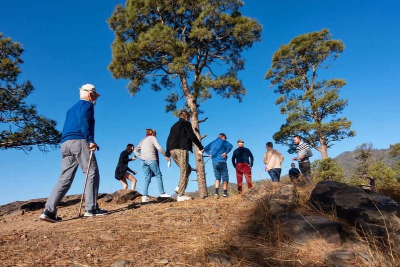 Gran Canaria: Full Coast Tour with Local Guide - The guide style: friendly, informed, and sometimes fast