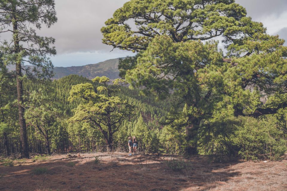 Gran Canaria: Full-Day Customizable Private Photography Tour - Logistics that can make or break the day