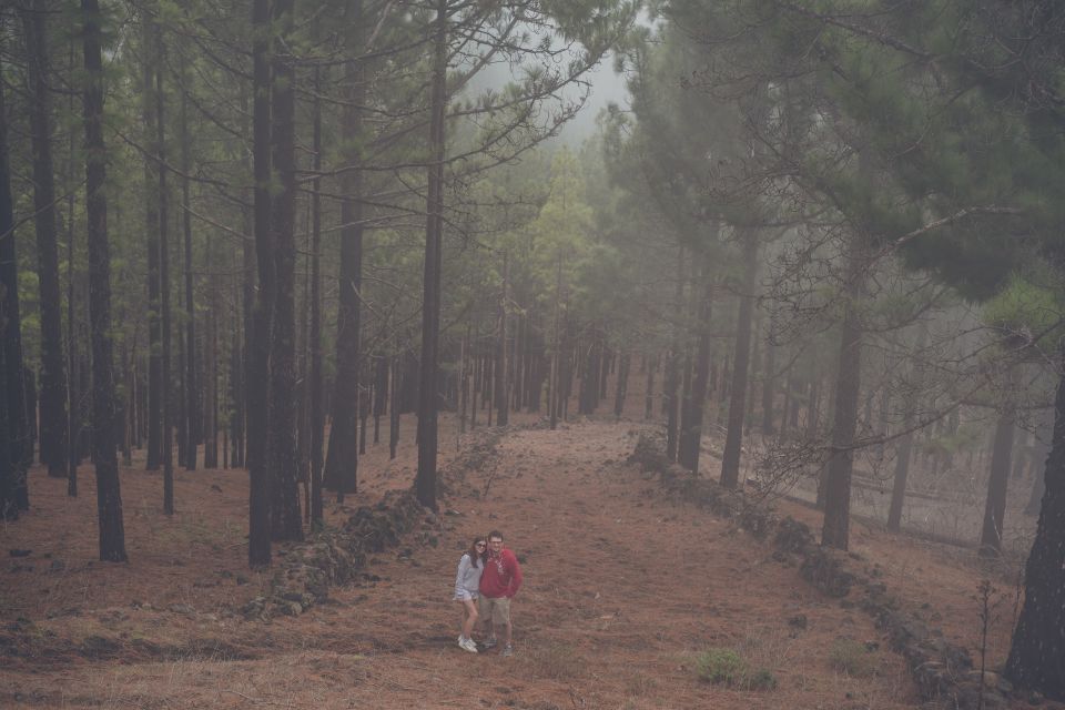 Gran Canaria: Full-Day Customizable Private Photography Tour - Market time is the shortcut to real Gran Canaria flavor