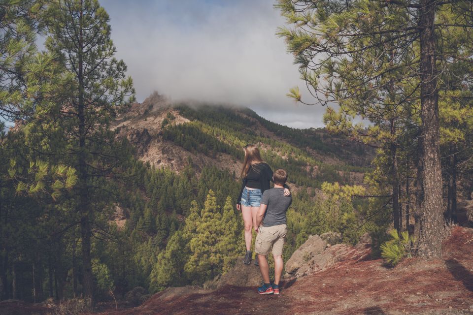Gran Canaria: Full-Day Customizable Private Photography Tour - Tilos de Moya and Pico de las Nieves: a cooler break in your schedule