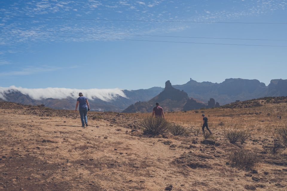 Gran Canaria: Full-Day Customizable Private Photography Tour - One island, two moods: arid southwest and lush north