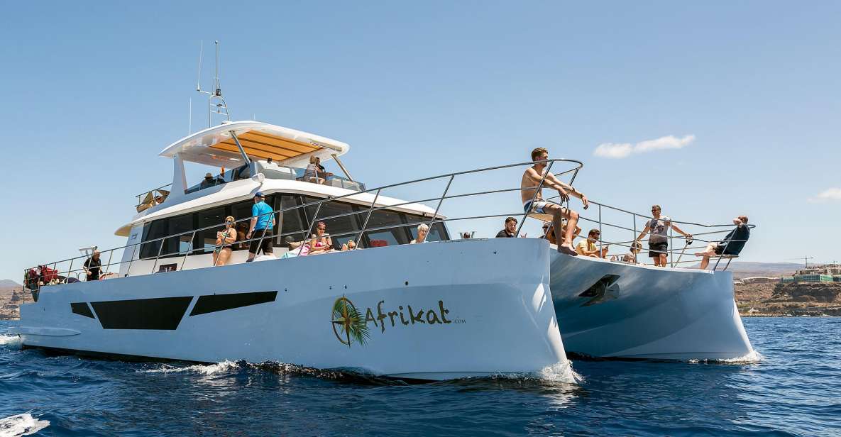 Gran Canaria: Fun Catamaran Cruise with Food and Drinks - The Cruise Part: Coastal Views Without Stress