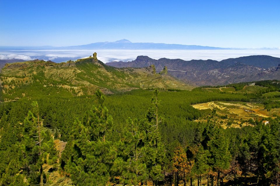 Gran Canaria Highlights Full-Day Tour by Bus - Arucas: Gothic church energy and a north-town rhythm