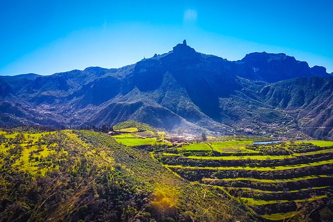 Gran Canaria highlights & hidden gems with local guide Sky Rebels - A Thoughtful Route Through Gran Canaria: Palm Valley to Pico Views