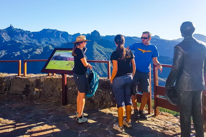 Gran Canaria highlights & hidden gems with local guide Sky Rebels - Mirador Degollada de la Yegua: Palm Valley Moments Without the Rush