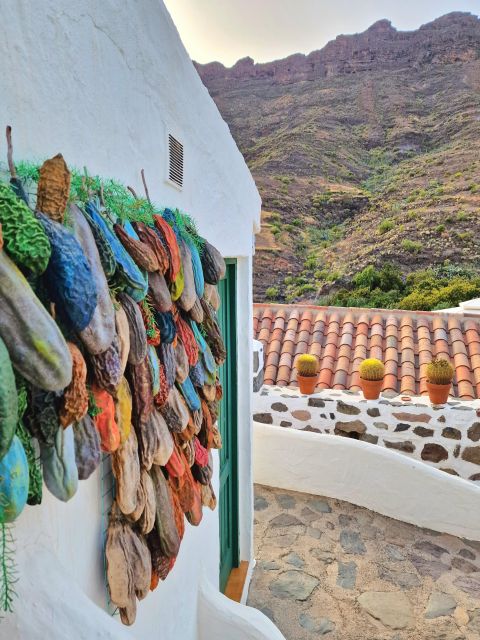 Gran Canaria historical house with mango plantation - The Mango Plantation, Avocados, Soursop, and Tunera Cactus