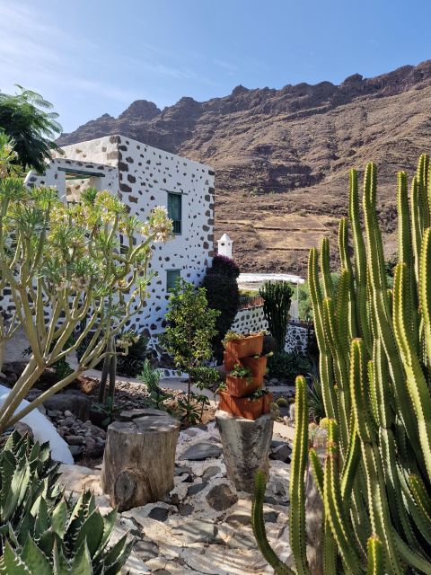 Gran Canaria historical house with mango plantation - Optional Lunch or Dinner at Valle de Mogán (If You Want More)