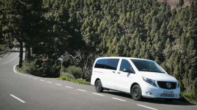 Gran Canaria: Island Highlights Tour with Optional Lunch - Aloe Vera Finca Canarias: A Stop for Facts and Photos