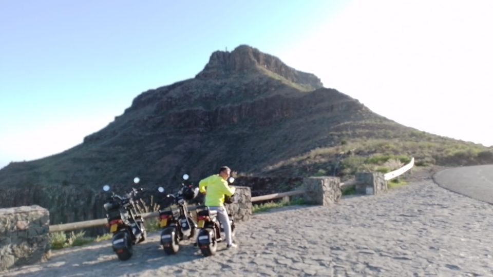 Gran Canaria: Los Pilancones Natural Park e-Scooter Tour - Ayagaures route: green valley, palms, cactus, and Canary flavor