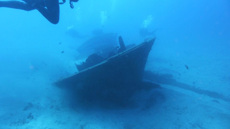 Gran Canaria: Morning Scuba Dive - Key points you’ll actually care about