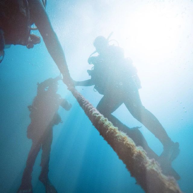 Gran Canaria: Morning Scuba Dive - Two Underwater Sessions (or One): How Your Level Shapes the Plan