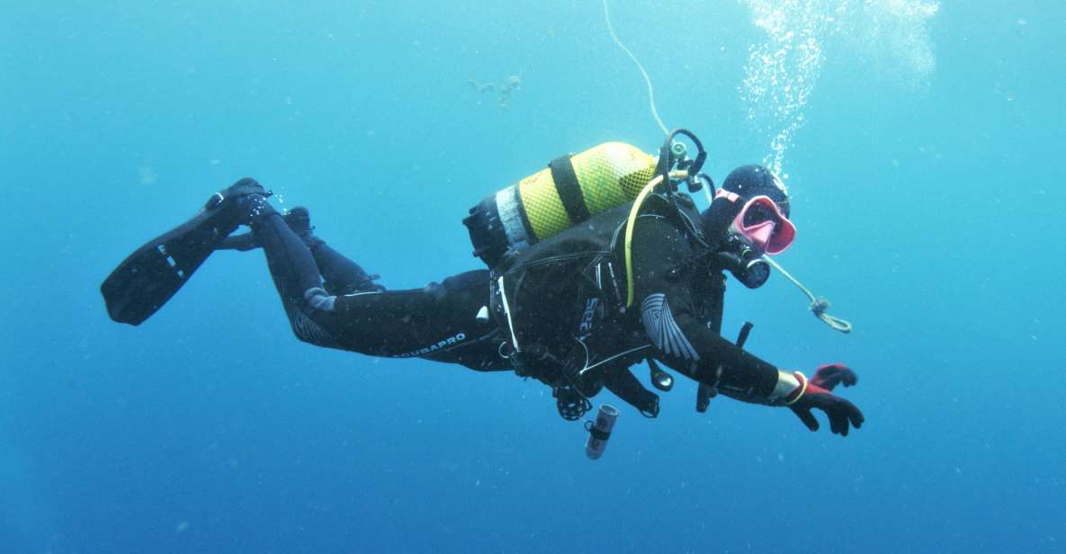 Gran Canaria: Morning Scuba Dive - Choosing the Right Underwater Locations: Reefs, Walls, Caves, Wrecks