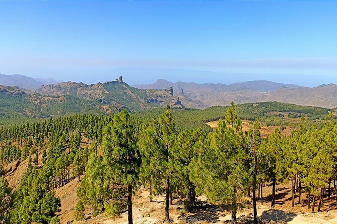 Gran Canaria Premium Tour: Volcanoes and Wine for cruisers - The volcano route: Caldera de Bandama and Caldera de los Marteles