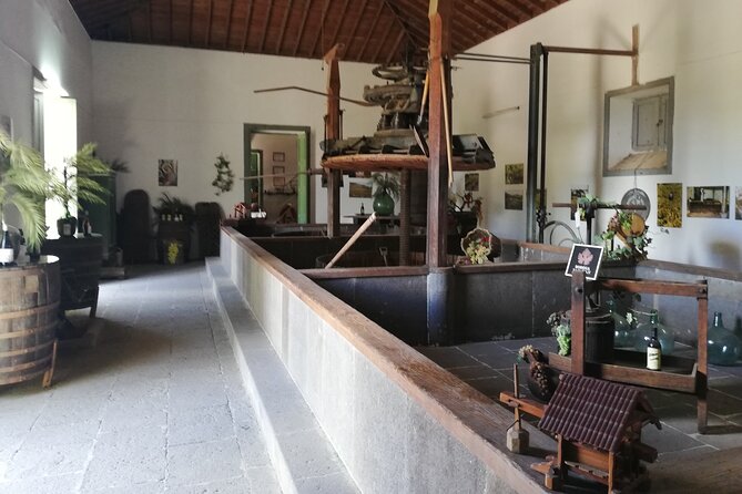 Gran Canaria Premium Tour: Volcanoes and Wine for cruisers - What’s actually included: transport, drinks, and the picnic box