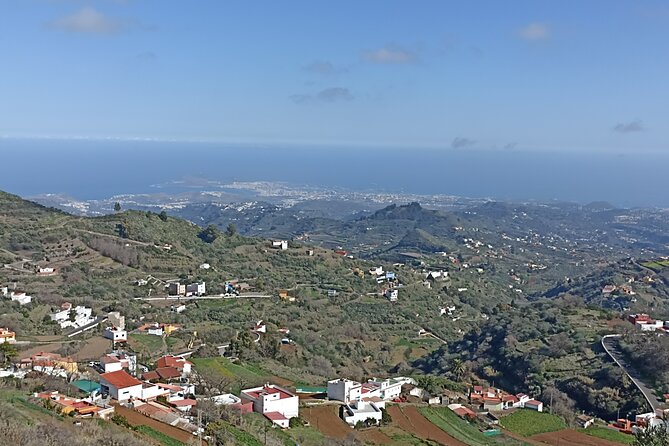 Gran Canaria Premium Tour: Volcanoes and Wine for cruisers - Bodega San Juan: the wine museum visit and Canarian tasting