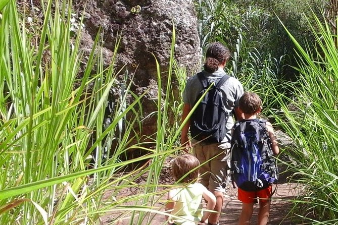 Gran Canaria private walks - The Guide Matters: Flora, Fauna, Geology, and History on Foot