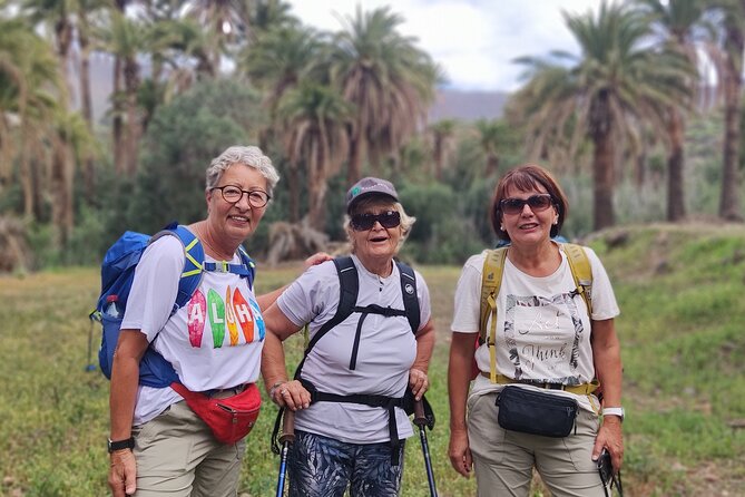 Gran Canaria private walks - How the Day Flows: From Pickup to Trail Time to Long-View Moments
