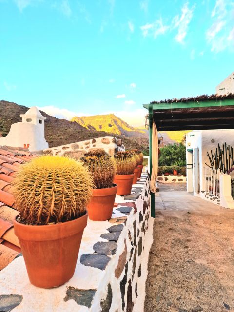 Gran Canaria: Spanish Tapas and Wine Tasting Tour in Mogan - Should you book this Mogán tapas and wine tour?