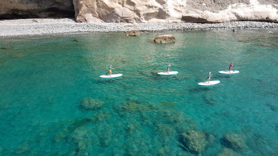 Gran Canaria : Stand Up Paddle (SUP) Tour - The swim break and underwater spotting moments