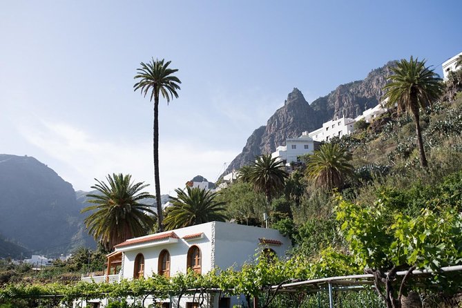 Grand Tour in Gran Canaria - Pickup From the South: Timing That Can Feel Like a Mini-Adventure