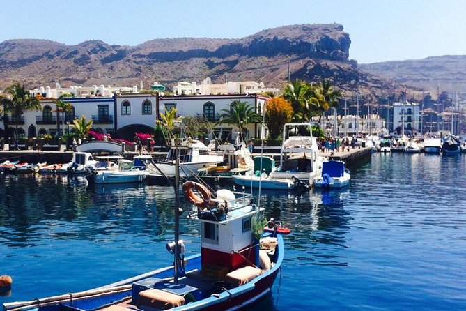 Grand Tour in Gran Canaria - Bananas, a Local Port, and a Mountain Stop for Minerals