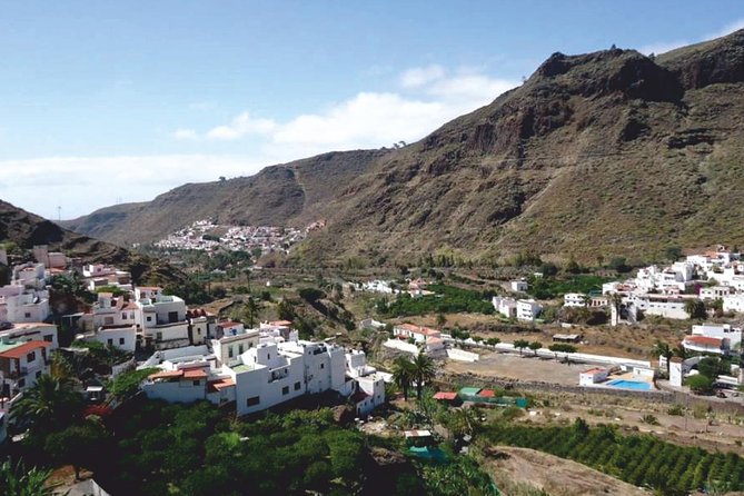 Grand Tour in Gran Canaria - Price and Value: Is $54.41 a Good Deal?
