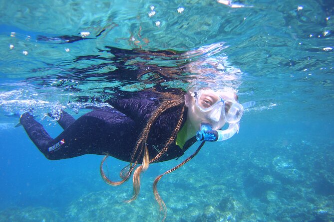 Guided Snorkelling Experience in South of Gran Canaria - Key highlights I’d bet on