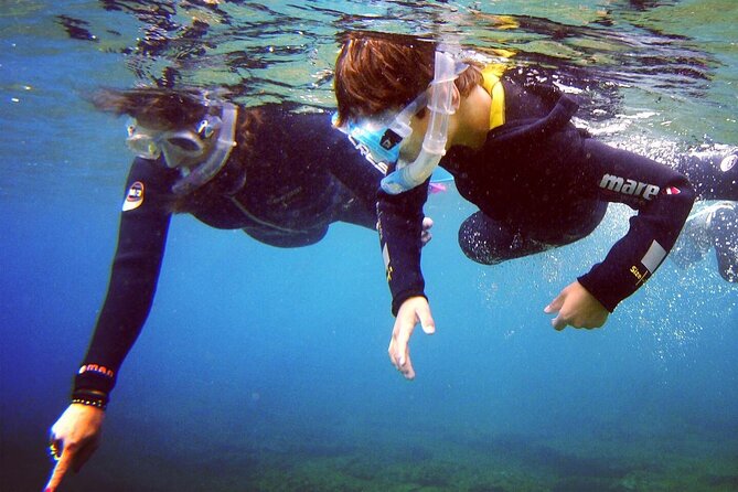 Guided Snorkelling Experience in South of Gran Canaria - The briefing: where safety meets good snorkel instincts