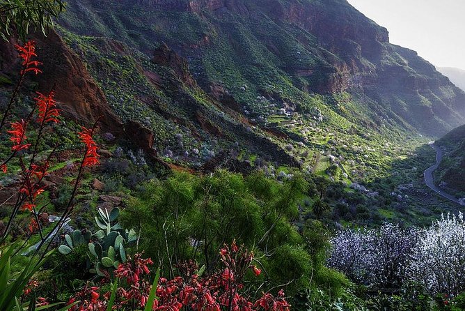 Guided tour: Discover Gran Canaria - Stop 4: Ayacata and Fataga—almond trees and quiet villages