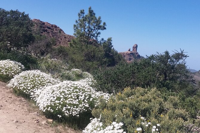 Hikes Roque Nublo - Price and value: is $106.04 worth it?