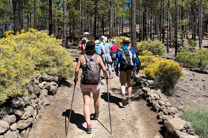Hikes Roque Nublo - Roque Nublo’s UNESCO magic: why the guide matters
