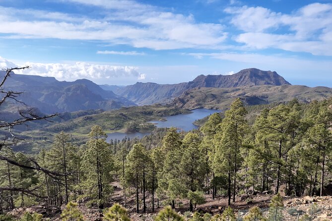 Hiking experience in the north of Gran Canaria - Key Things To Know Before You Go