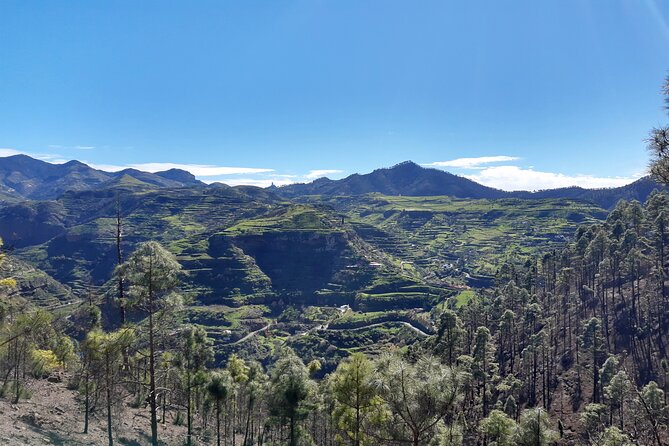 Hiking experience in the north of Gran Canaria - A North Gran Canaria Hike That Actually Matches the Day