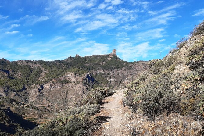 Hiking experience in the north of Gran Canaria - The Route of the Week: How the Guide Chooses Your Day