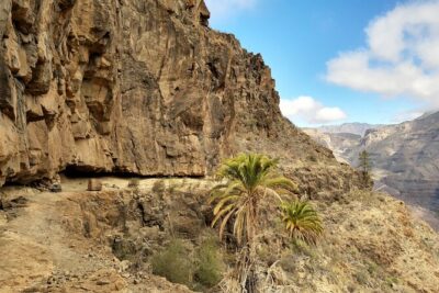 Hiking experience in the north of Gran Canaria - Meeting at Maspalomas: How the Start Works