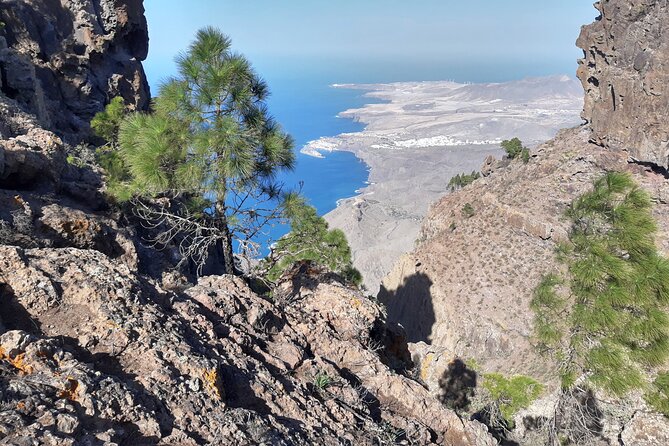 Hiking experience in the north of Gran Canaria - What You’ll Actually See: Gorges, Caves, Craters, and Coast Views